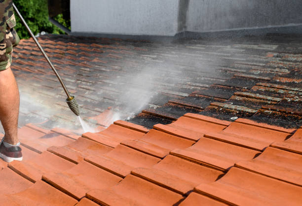 Best Pressure Washing Patio  in Merrionette Park, IL