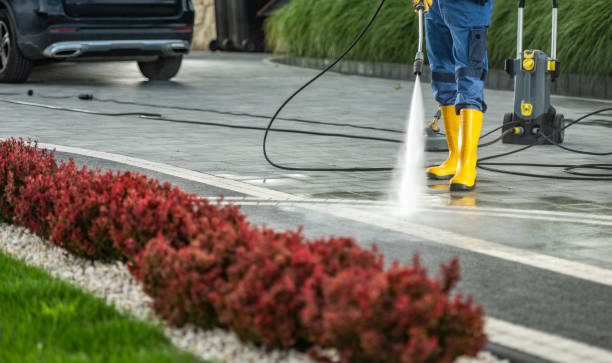 Best Pressure Washing Patio  in Merrionette Park, IL